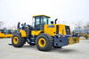 LW600KN-T25 L&oacute;d&oacute;ir Ardaithe Cloch Mini 25ton ar D&iacute;ol