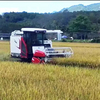 Prix ​​de la machine de moissonneuse-batteuse de riz de ma&iuml;s XR630/XR730 